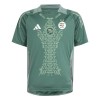 Original Fußballtrikot Nigeria Special Edition 2024 Grüne Für Herren